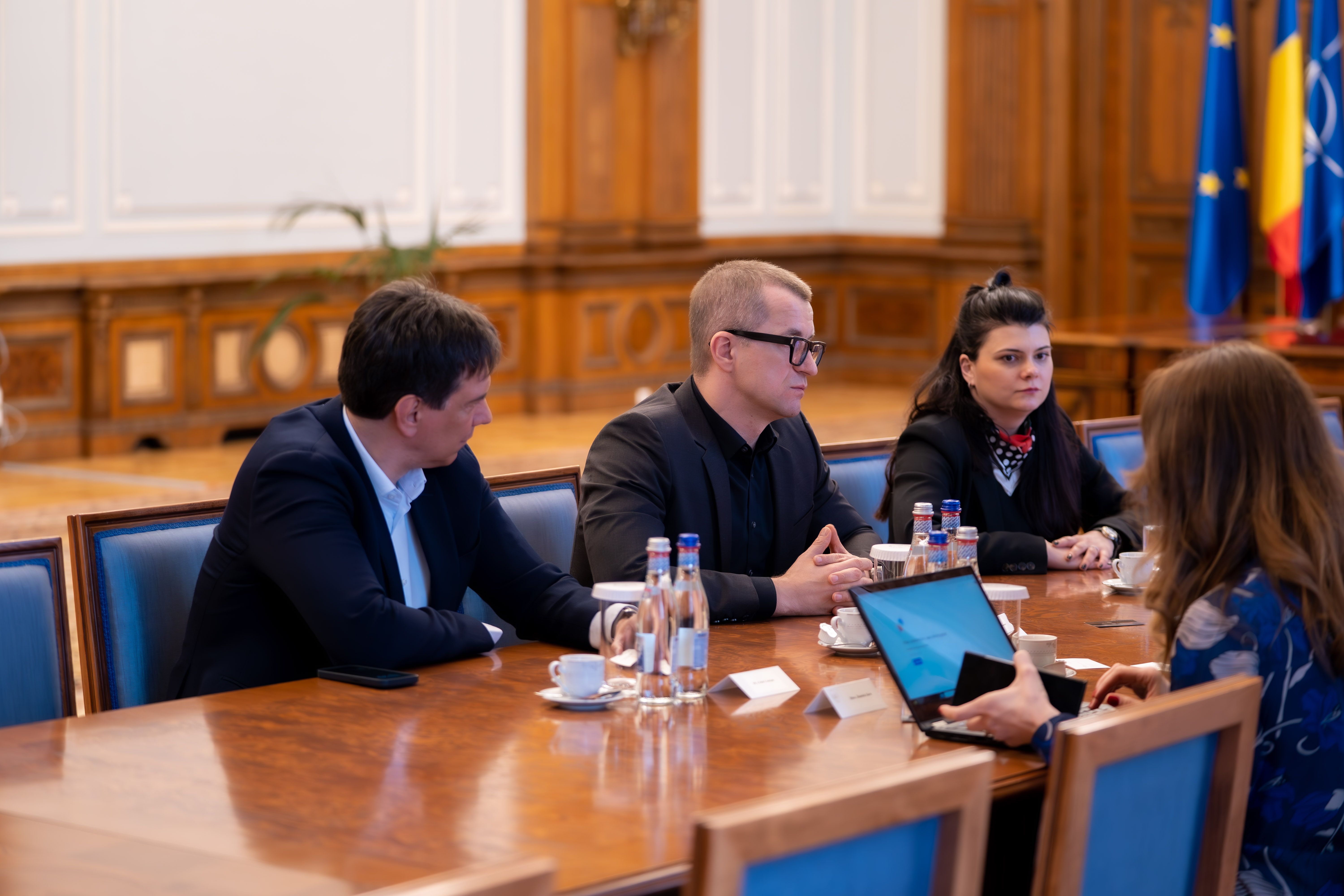 Președintele interimar al Senatului a discutat despre dezvoltarea sectorului audiovizual românesc cu reprezentanții Netflix